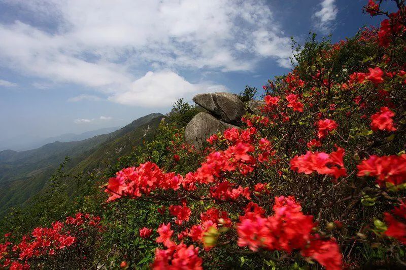 人均不到500元的旅行，说走就走的咸宁！