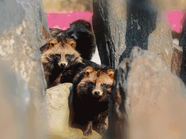 人均不到500元的旅行，说走就走的咸宁！