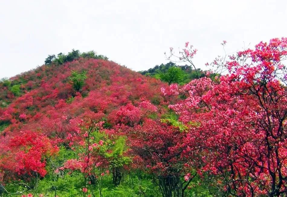 人均不到500元的旅行，说走就走的咸宁！