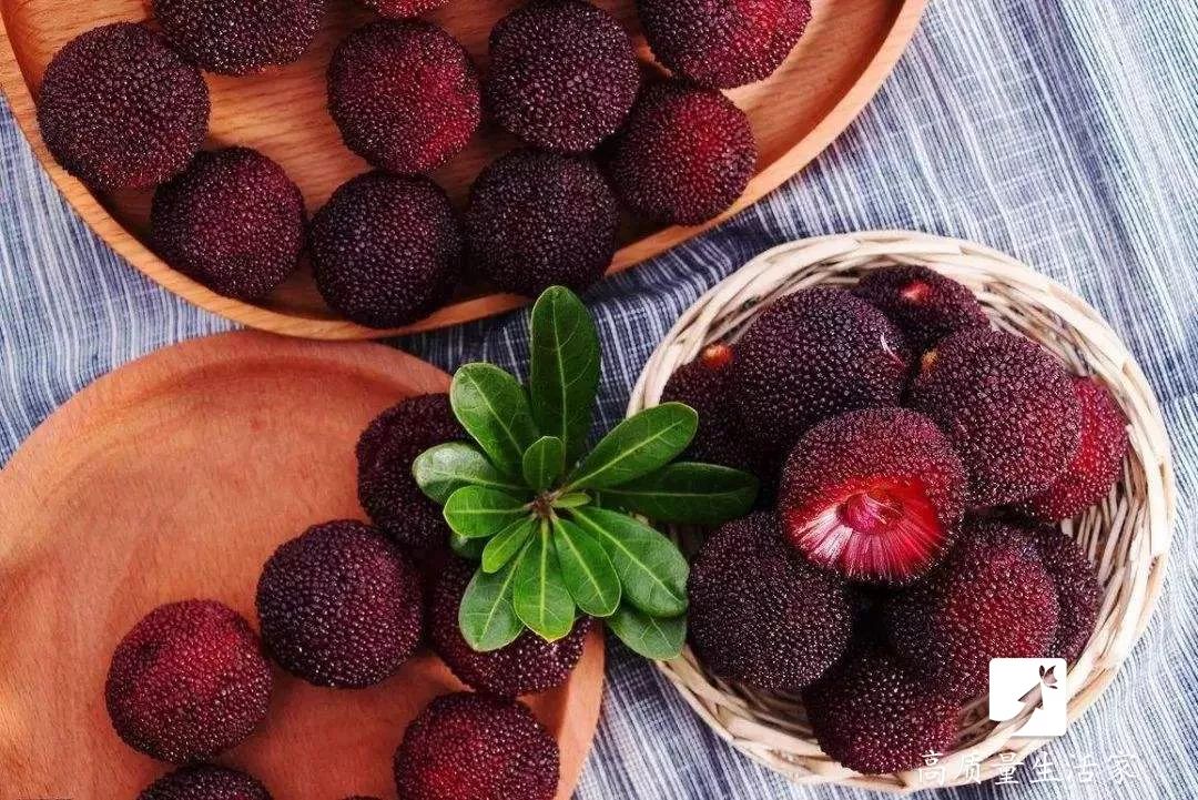 杨梅用盐洗不泡能洗干净嘛,杨梅能用盐清洗干净吗