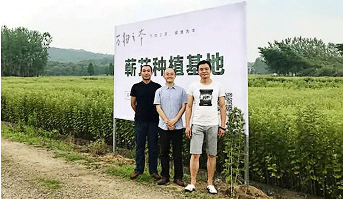 艾灸哪个穴位祛湿效果最好,艾灸贴肚脐祛湿有效果吗