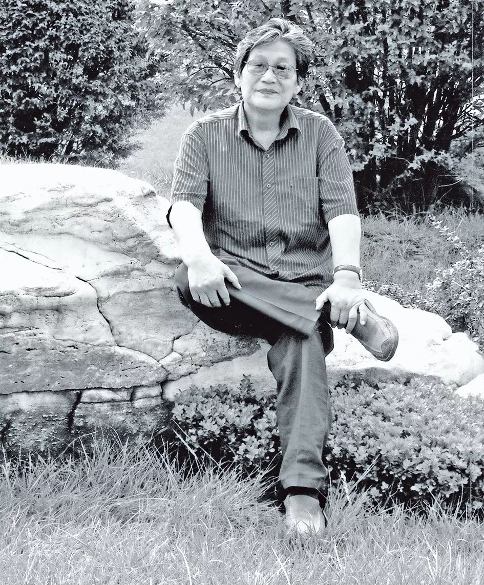 人民美术出版社张之光画集,张之光最新画集出版