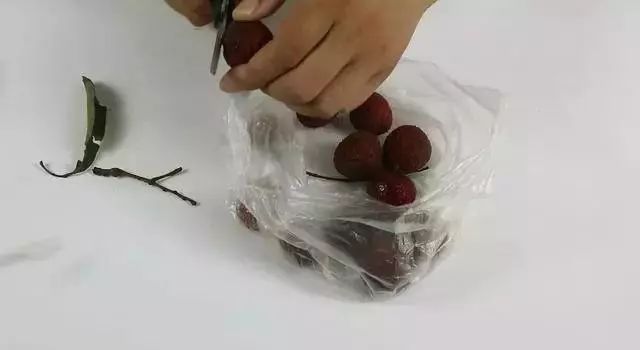 荔枝放几天就坏了,荔枝放过夜得怎样保存