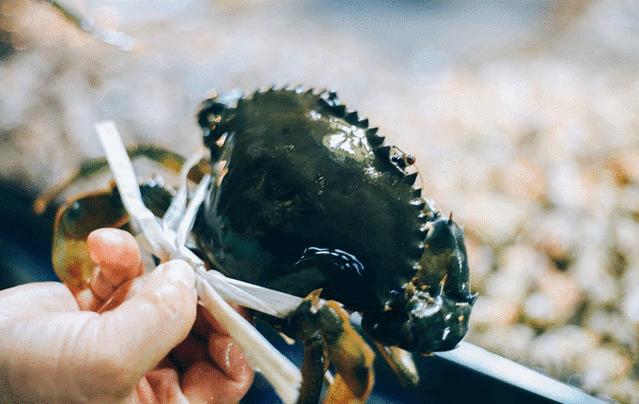 玩转三亚最实用的攻略在这里,三亚休闲之旅吃喝玩乐全攻略