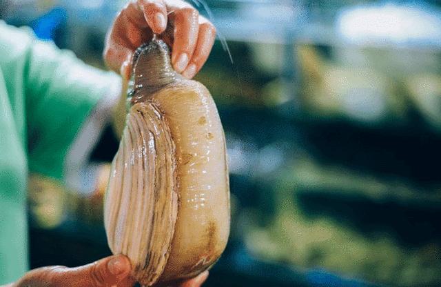 玩转三亚最实用的攻略在这里,三亚休闲之旅吃喝玩乐全攻略