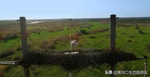 东营市赴青州古城开展精准宣传推介活动