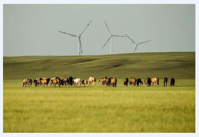 麤字的读音,麤字来源