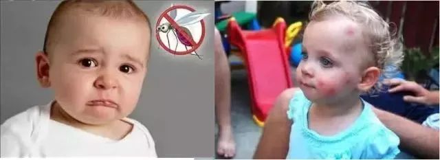 一到夏天，日本1亿家庭都离不开它们！