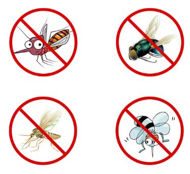 一到夏天，日本1亿家庭都离不开它们！