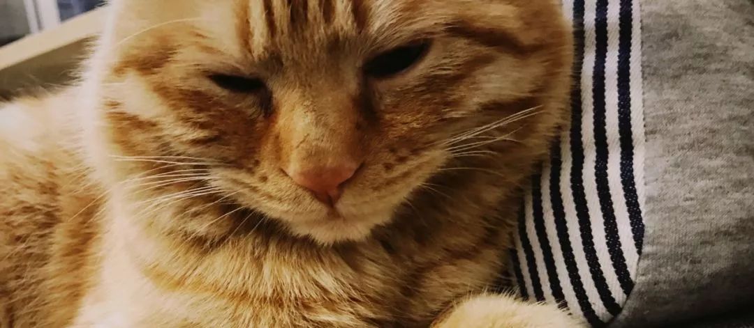 该以怎样的表情，面对周一？|一周新书