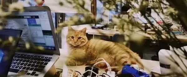 该以怎样的表情，面对周一？|一周新书