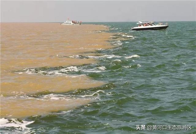 青州市旅游品牌宣传,强化旅游宣传推介