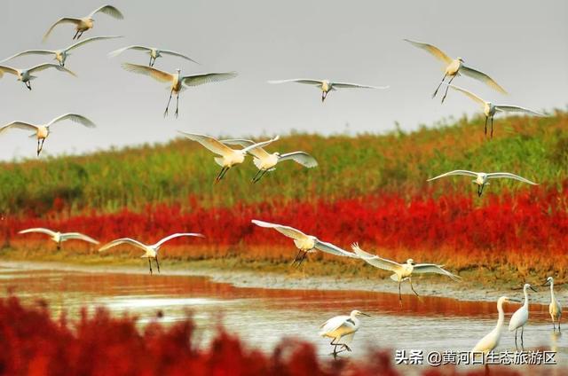 青州市旅游品牌宣传,强化旅游宣传推介
