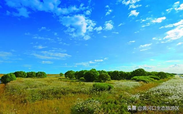 青州市旅游品牌宣传,强化旅游宣传推介