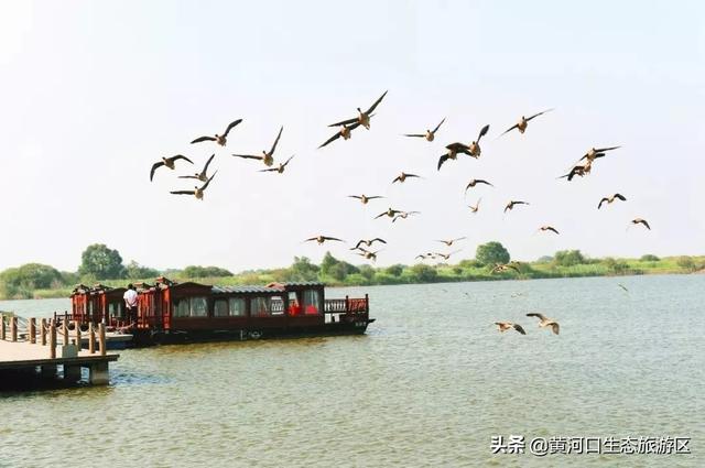 青州市旅游品牌宣传,强化旅游宣传推介