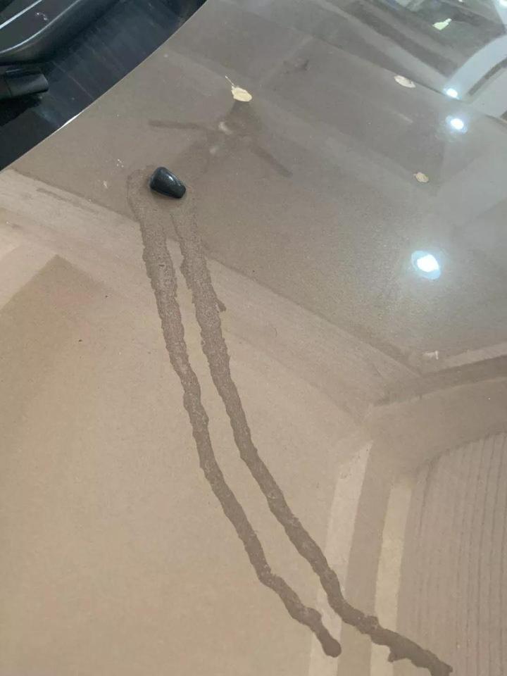 多大仇?男子把胶水滴在自家人的车上,最后悲剧了