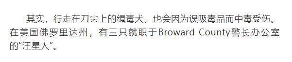 缉毒犬会染上毒瘾吗视频讲解,闻毒品的缉毒犬会因此染上毒瘾吗