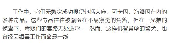 缉毒犬会染上毒瘾吗视频讲解,闻毒品的缉毒犬会因此染上毒瘾吗