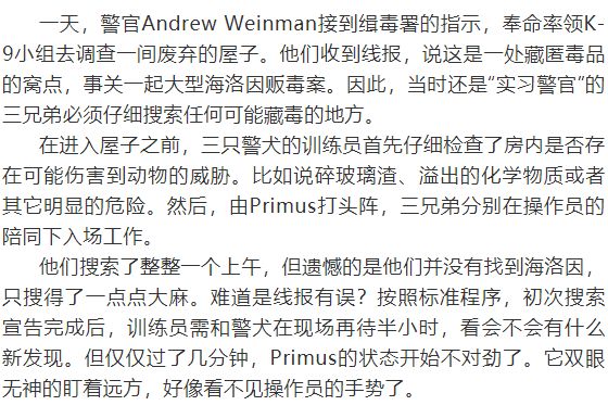 缉毒犬会染上毒瘾吗视频讲解,闻毒品的缉毒犬会因此染上毒瘾吗