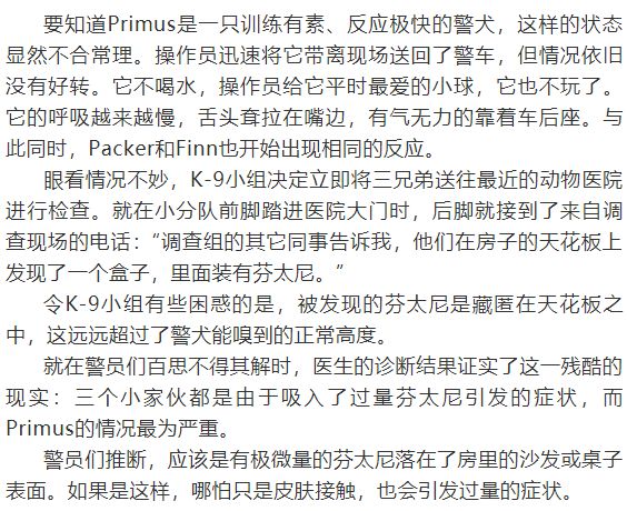 缉毒犬会染上毒瘾吗视频讲解,闻毒品的缉毒犬会因此染上毒瘾吗