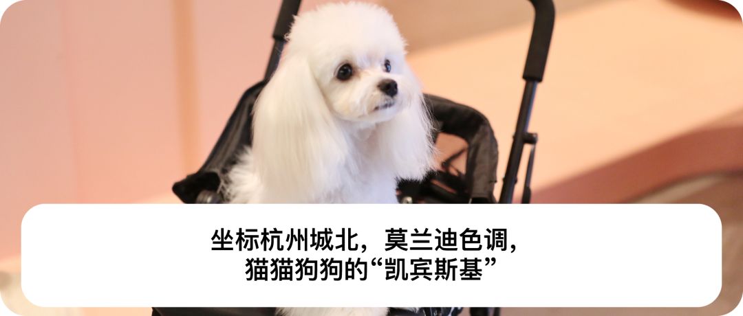 施华洛世奇美睫 (美睫沙龙美甲推荐)