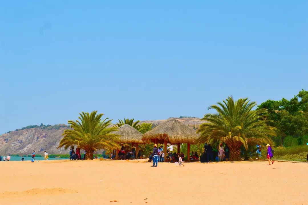 滇池边的湿地公园哪个值得去,滇池边最值得打卡的湿地