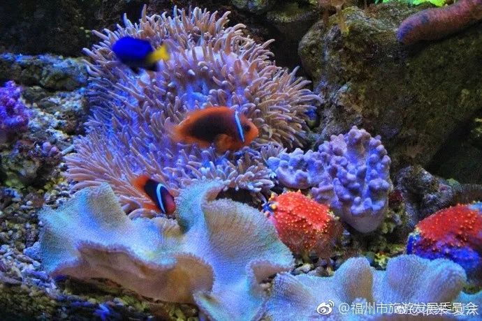 六一儿童节游玩玩些什么,六一玩乐全攻略