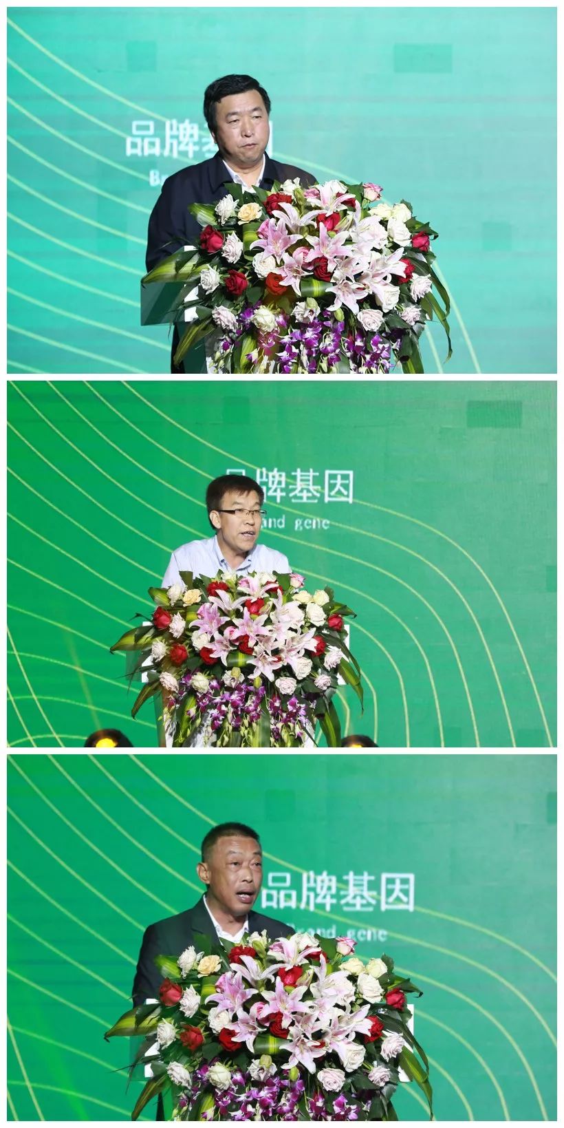 康朴中国排名,康朴中国怎么样