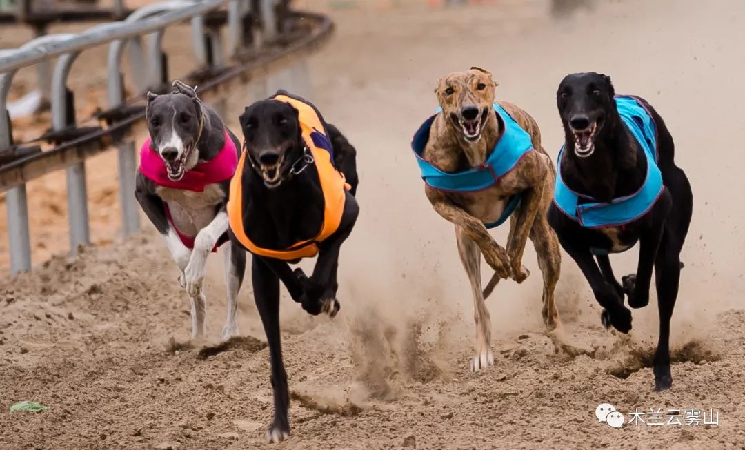 优惠活动喜迎六一赢好礼,六一特惠福利