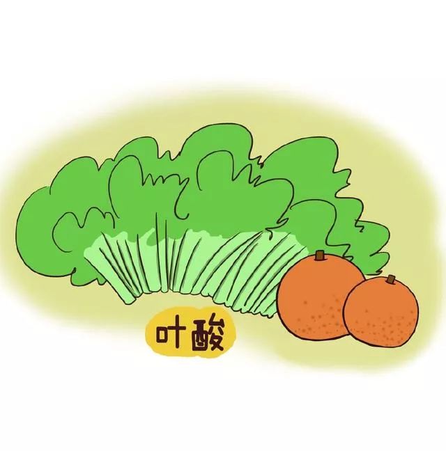 到底要不要补充叶酸,别再瞎补叶酸