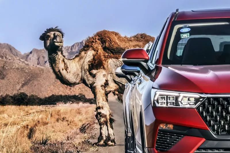 做公益,一汽奔腾是认真的!