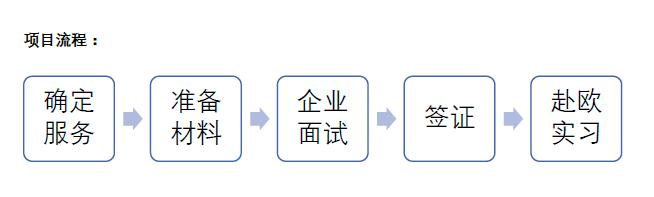 瑞士带薪项目有哪些,瑞士带薪实习