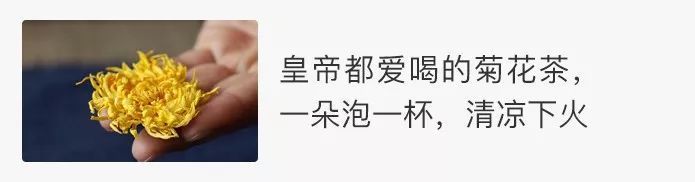 含有益生菌的酸奶必须冷藏吗,市面上比较好的益生菌酸奶