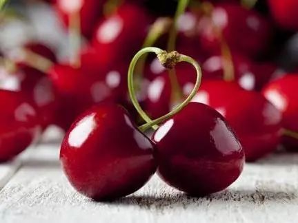 摘樱桃、做蛋糕!这个周末全家一起嗨!《周末去哪嗨》第八站火热报名开启