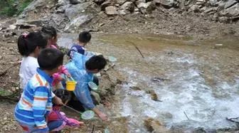 摘樱桃、做蛋糕!这个周末全家一起嗨!《周末去哪嗨》第八站火热报名开启