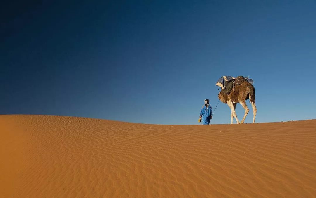亚隆团体督导师-费小懿博士第四期深度密集团体动力成长小组—找回生命的纯粹体验