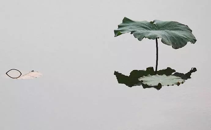 亚隆团体督导师-费小懿博士第四期深度密集团体动力成长小组—找回生命的纯粹体验