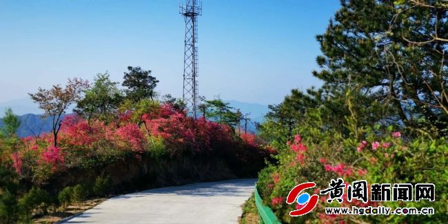 胡顺:“英雄山“上红色情