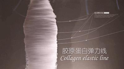 抬头纹法令纹鱼尾纹克星能管用吗,抬头纹鱼尾纹法令纹均可改善