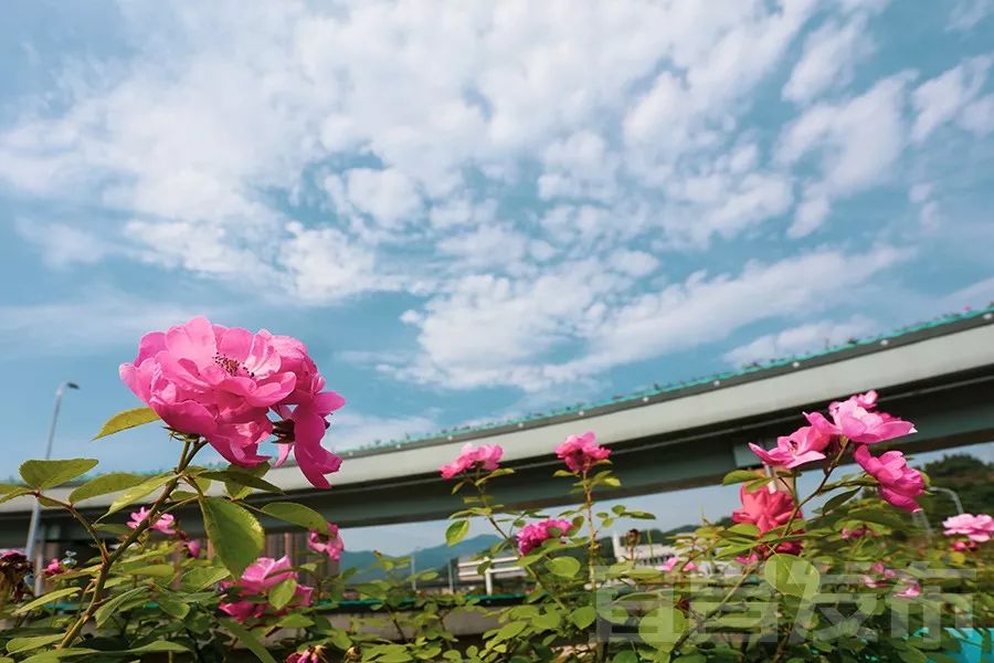 宜昌最美水上公路抖音,宜昌最美公路