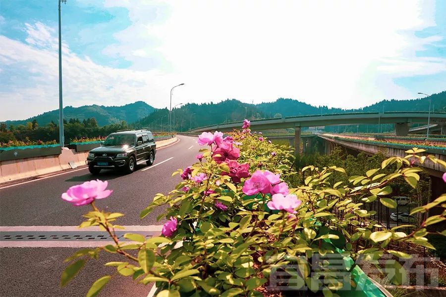 宜昌最美水上公路抖音,宜昌最美公路