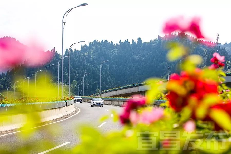 宜昌最美水上公路抖音,宜昌最美公路