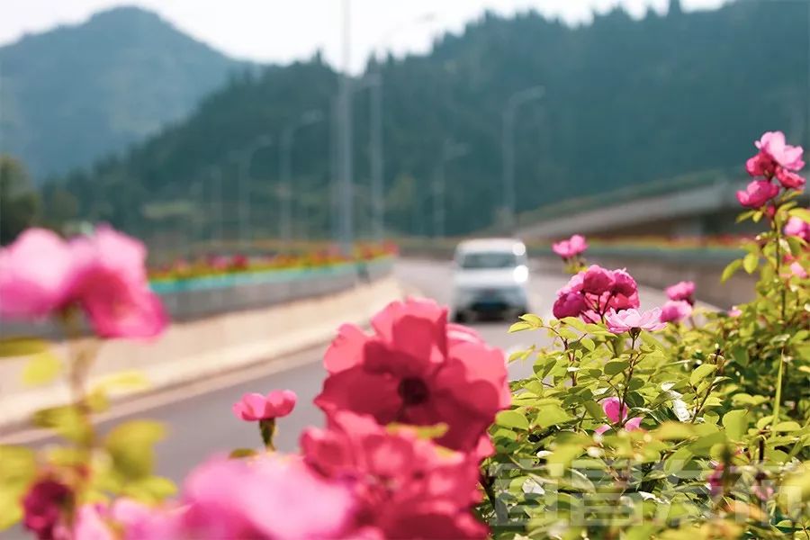 宜昌最美水上公路抖音,宜昌最美公路