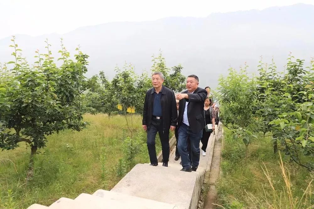 不说假话也不说实话,不说假话但不说全部真话