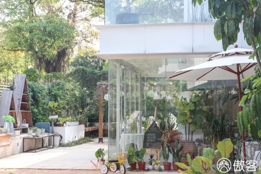 厦门有哪些拍照好看的地方,厦门十大拍照地方