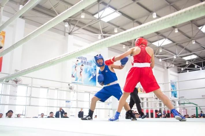 上海青浦少儿体校免费招生,青浦区青少年篮球训练营