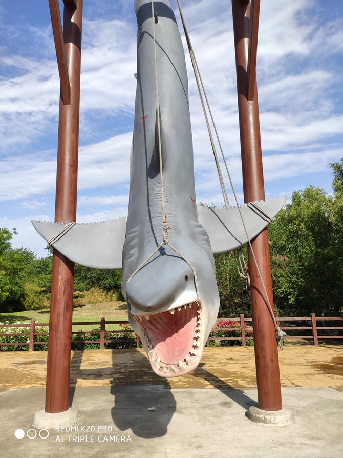 redmik20pro用起来怎么样,redmik20pro测评吃鸡