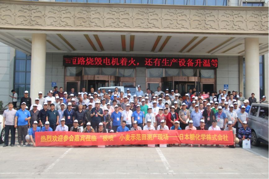 小麦亩增200斤有多难？液体缓释复合肥轻松打破增产极限