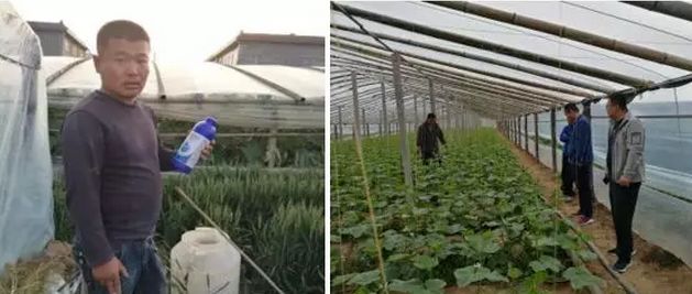 绿野杀菌剂,绿野农安