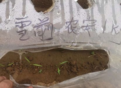 绿野杀菌剂,绿野农安